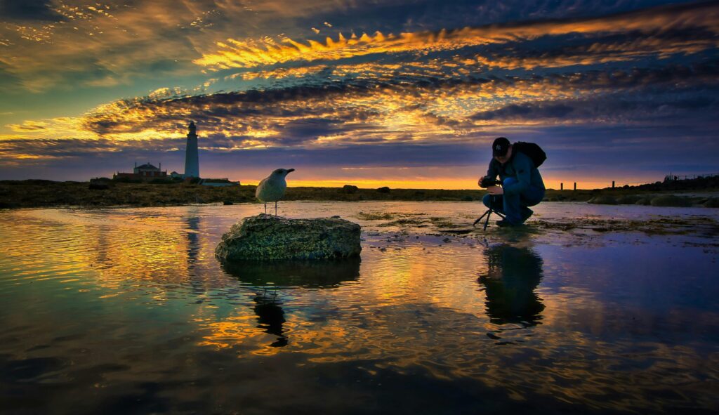 A tranquil scene of a photographer capturing the golden hour at a seaside, with a seagull perched on a rock.