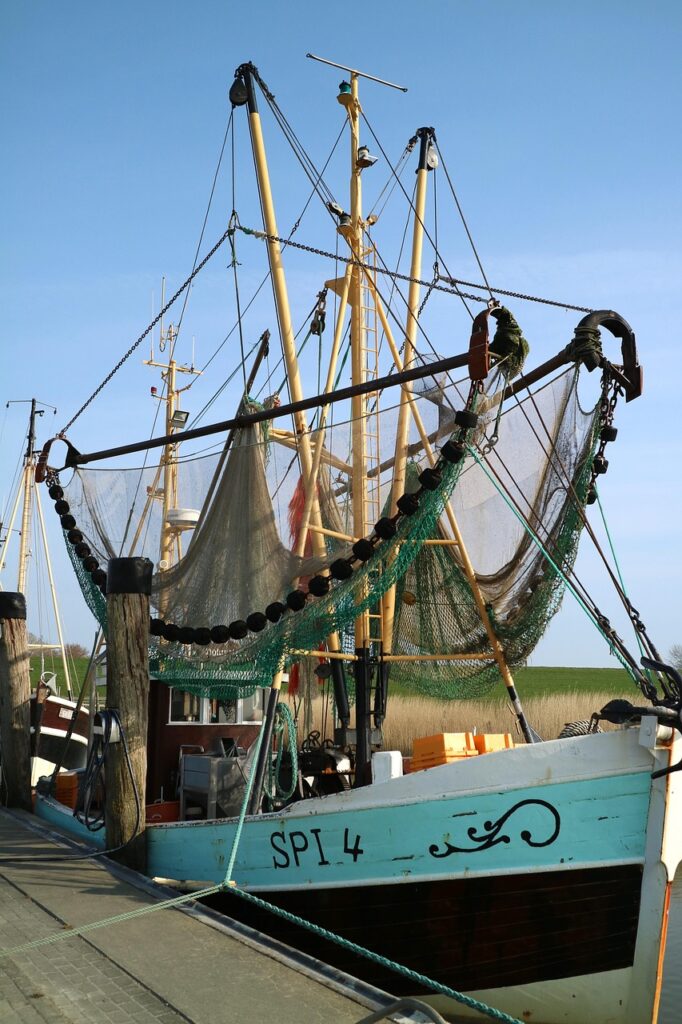 cutter, crab, coast, crab cutter, sea, wurster north sea coast, networks, germany, nature, port, fisherman, wadden sea, boat, north sea, fishing cutter, fishing