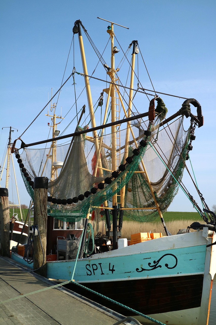 cutter, crab, coast, crab cutter, sea, wurster north sea coast, networks, germany, nature, port, fisherman, wadden sea, boat, north sea, fishing cutter, fishing